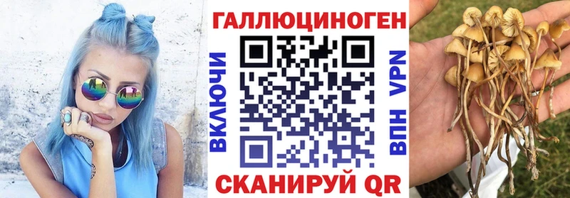 Галлюциногенные грибы Psilocybe  Томилино 